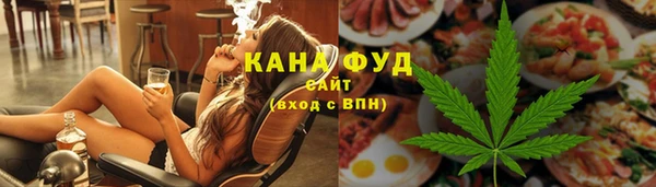 гашик Вяземский