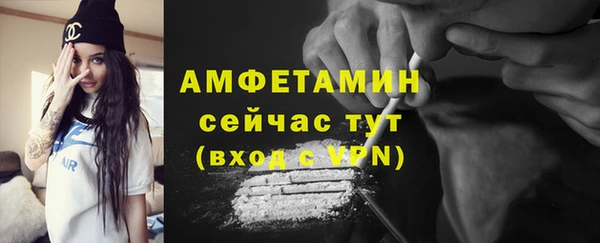 гашик Вяземский