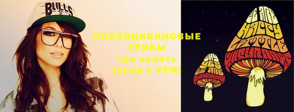 гашик Вяземский