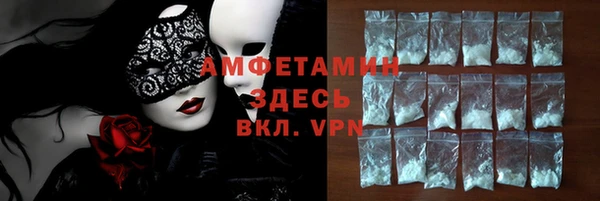 гашик Вяземский
