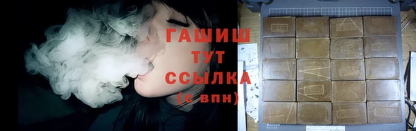 гашик Вяземский