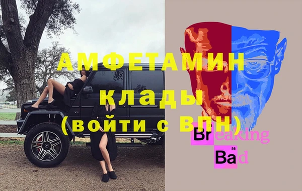 гашик Вяземский