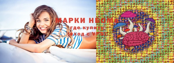 гашик Вяземский