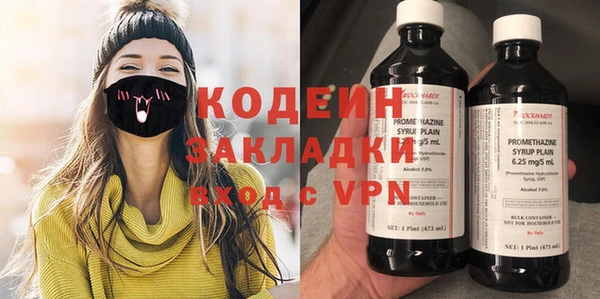 гашик Вяземский