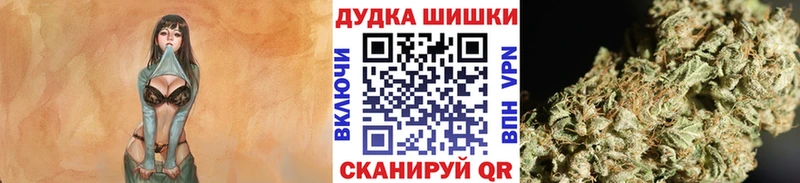Купить где  Коряжма  Марихуана планчик 